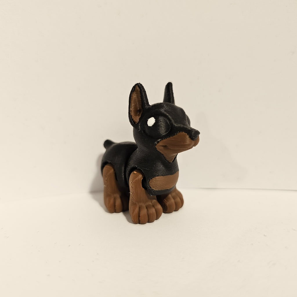 Doberman Hatchling