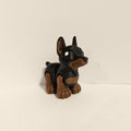 Doberman Hatchling