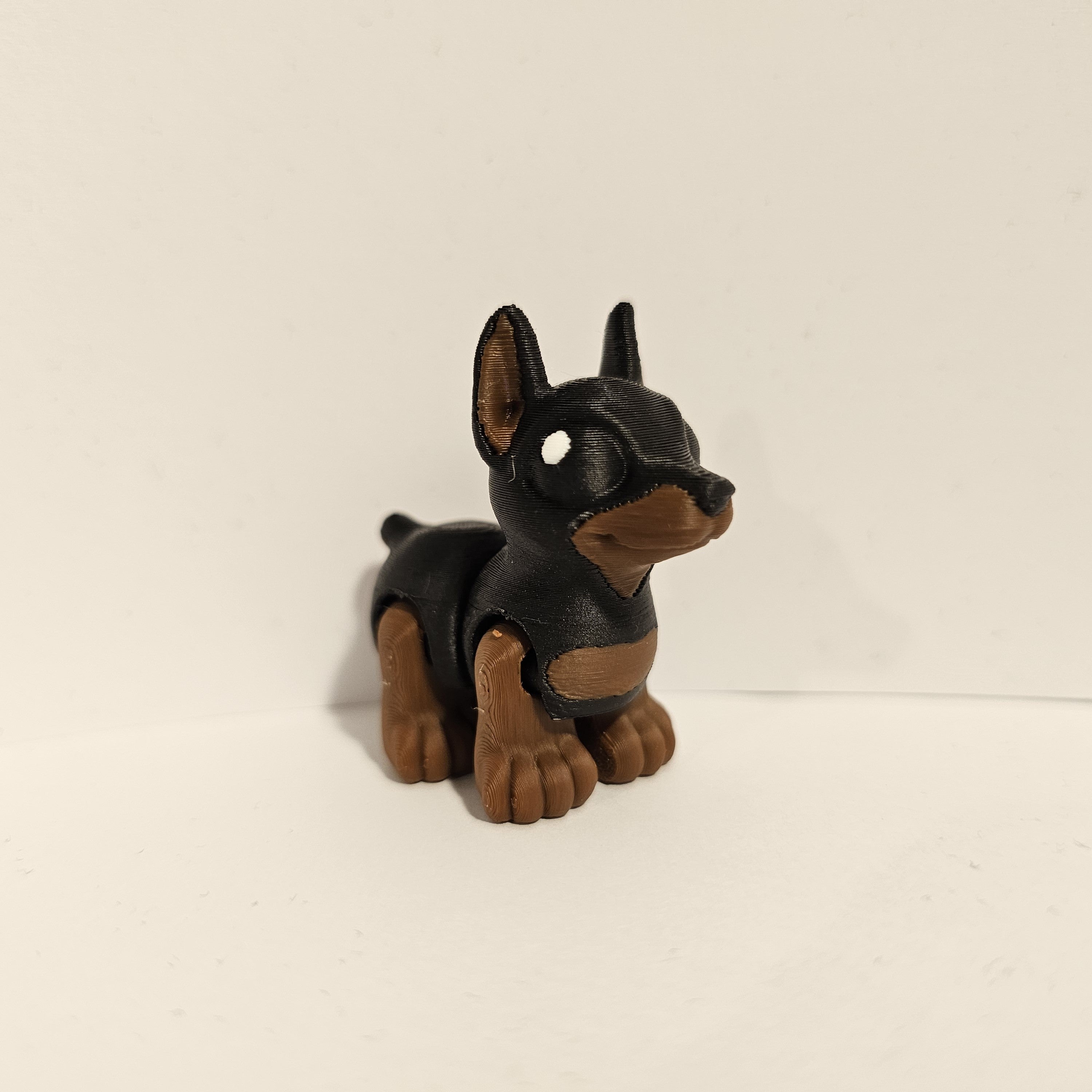 Doberman Hatchling