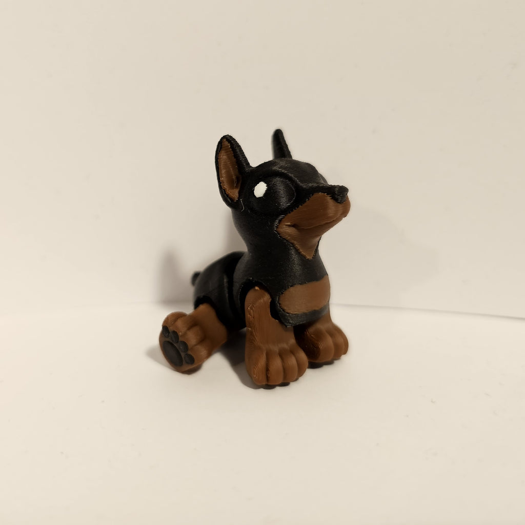 Doberman Hatchling