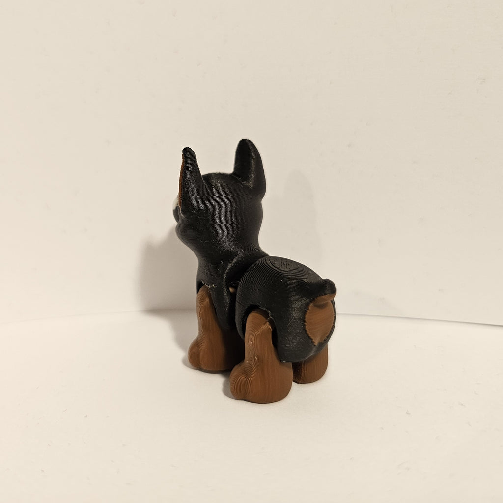 Doberman Hatchling