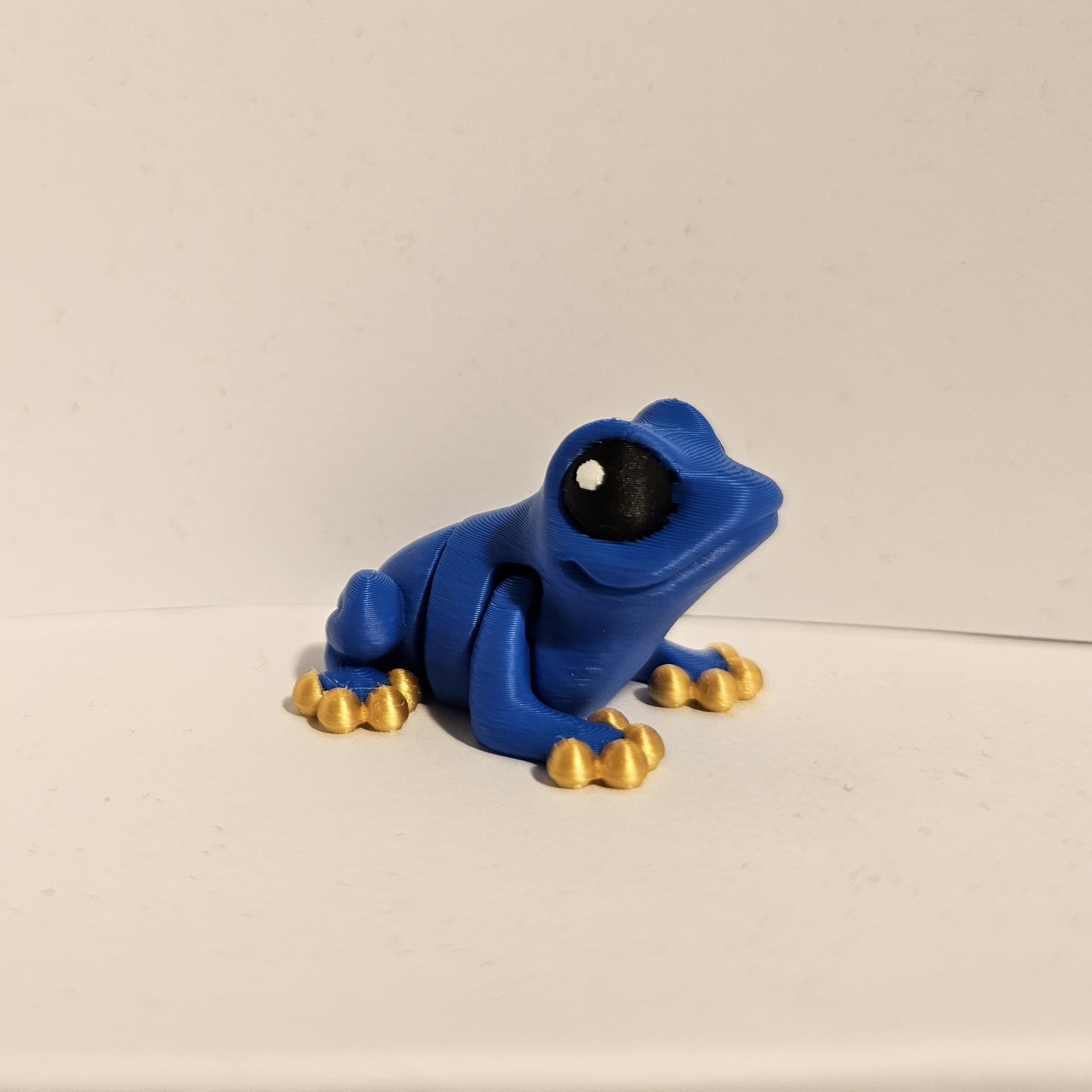 Frog Hatchling
