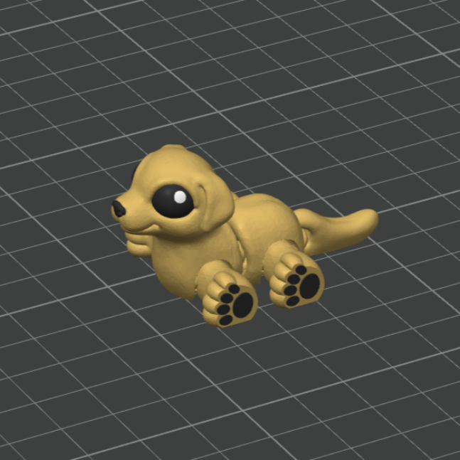 Labrador Hatchling