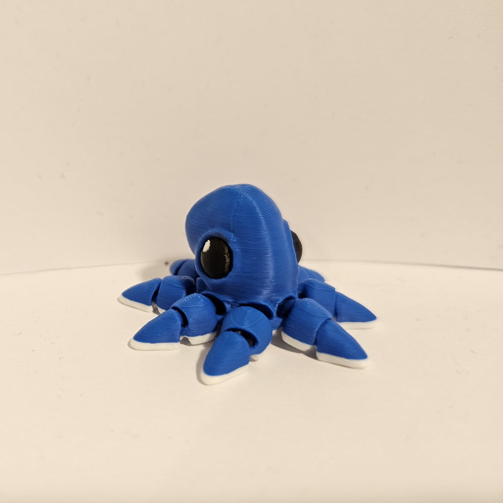 Octopus Hatchling
