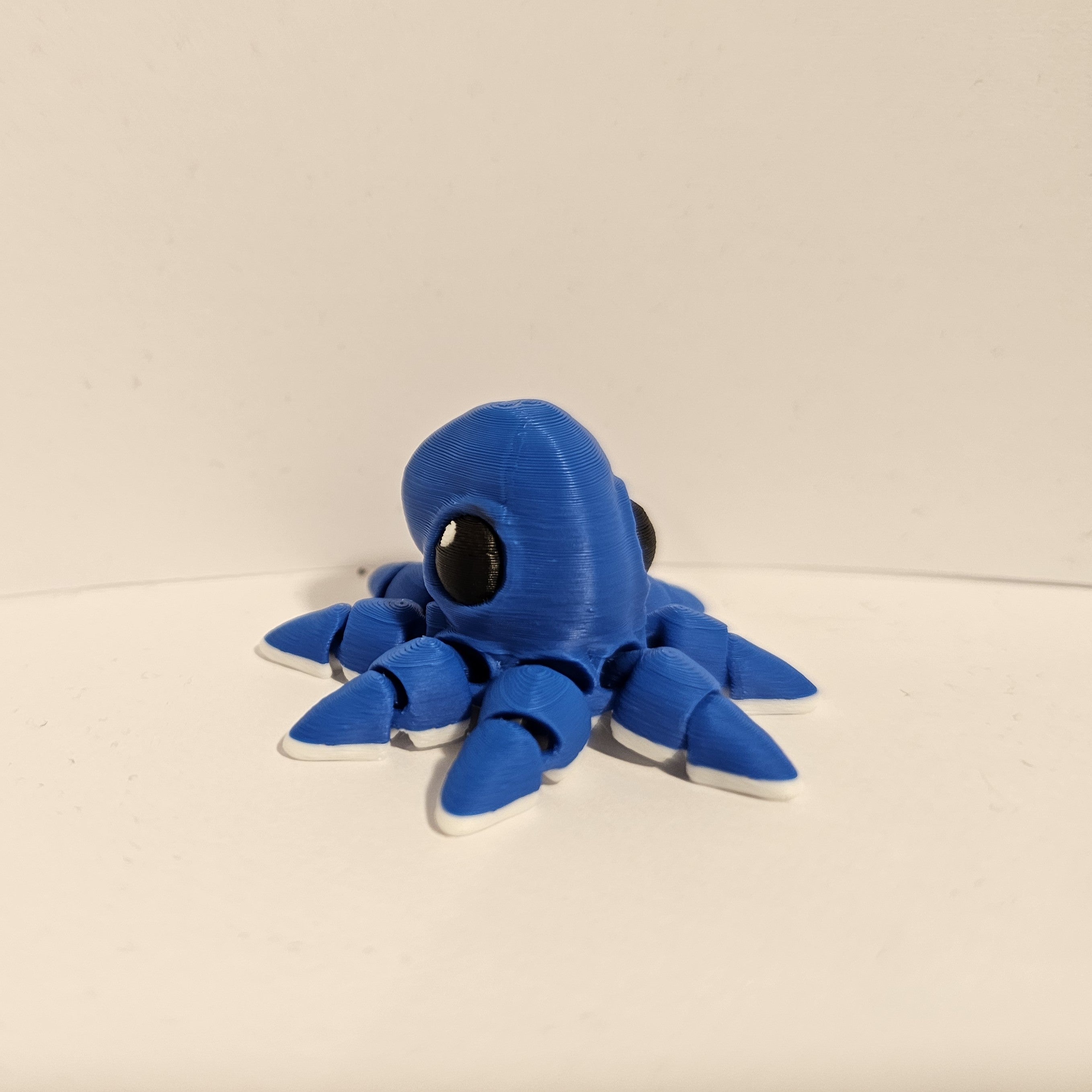 Octopus Hatchling