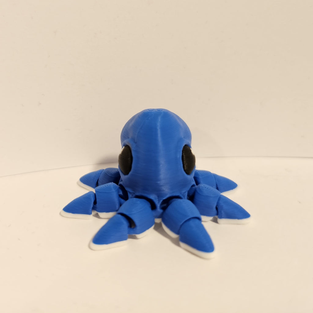 Octopus Hatchling