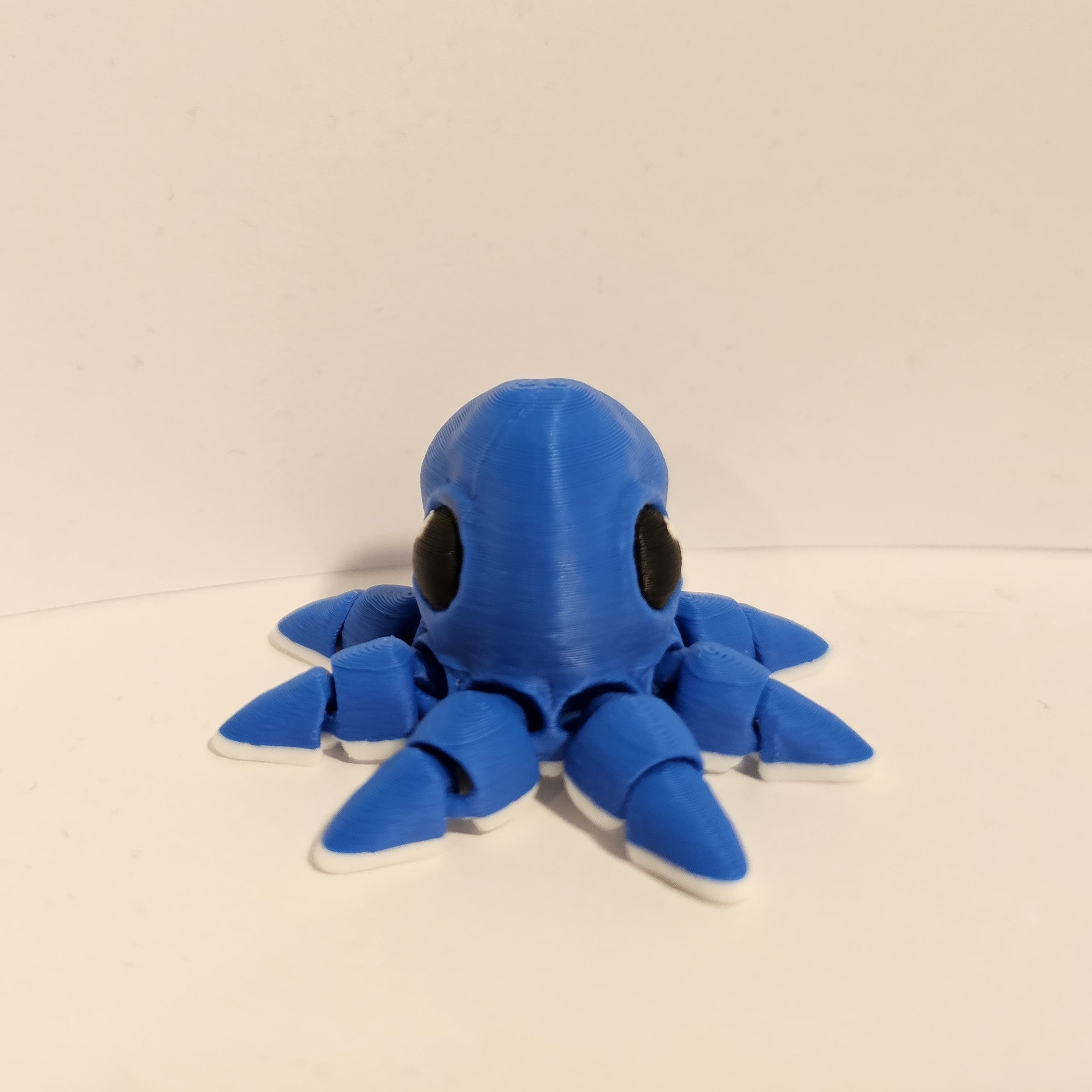Octopus Hatchling