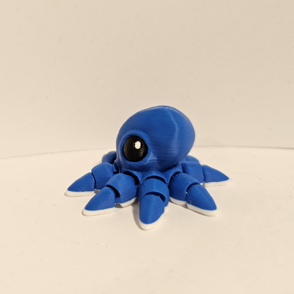 Octopus Hatchling
