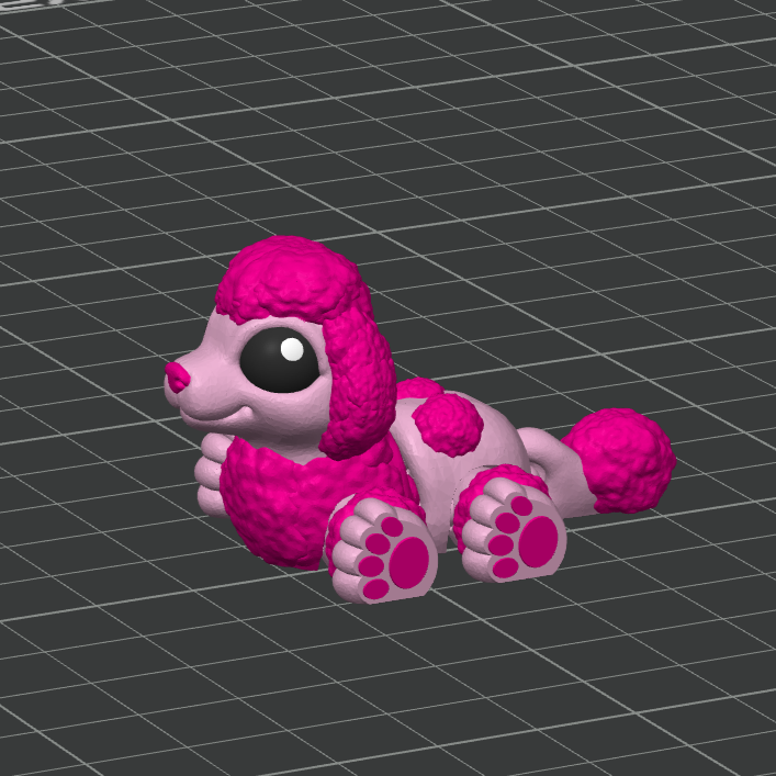 Poodle Hatchling