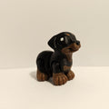 Rottweiler Hatchling