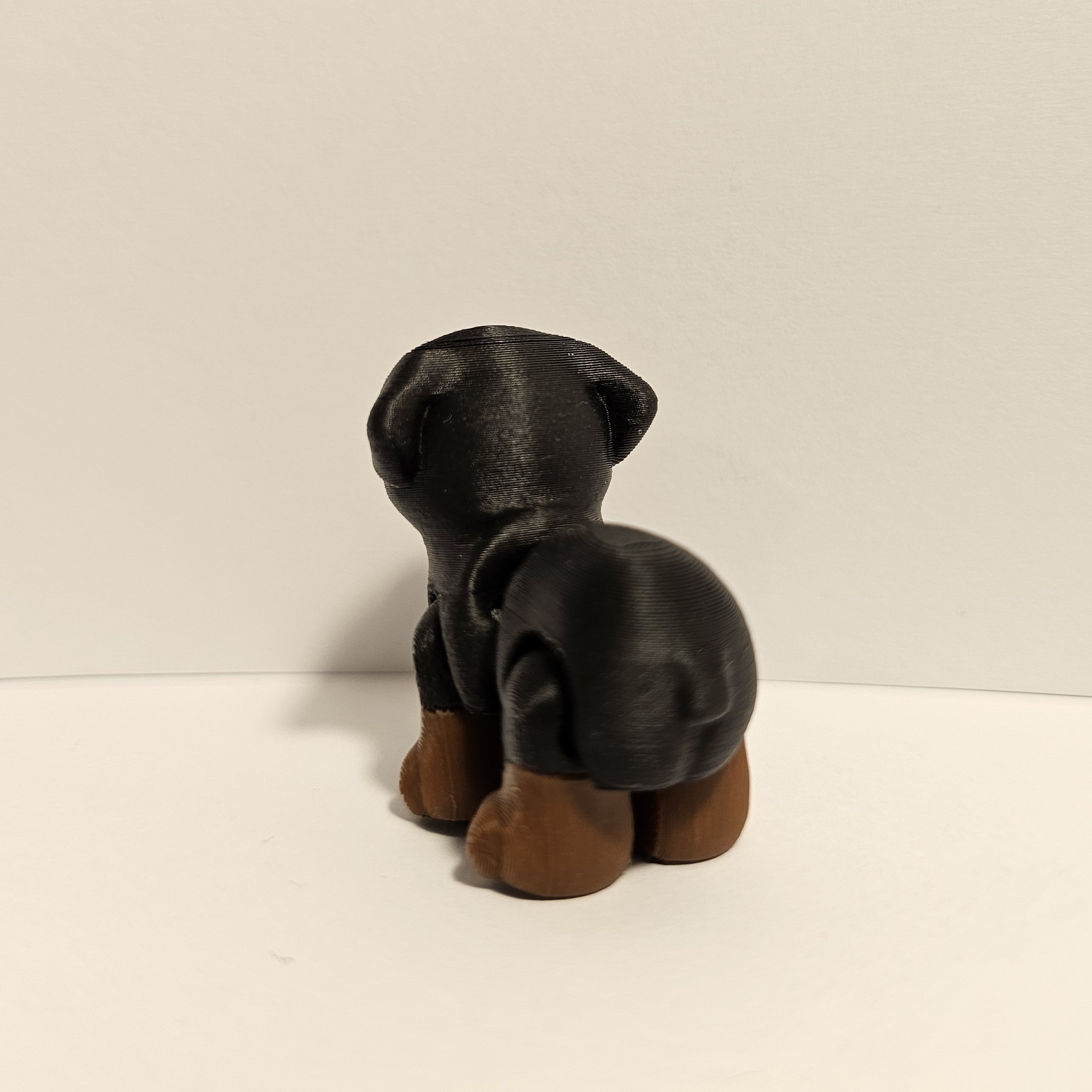 Rottweiler Hatchling