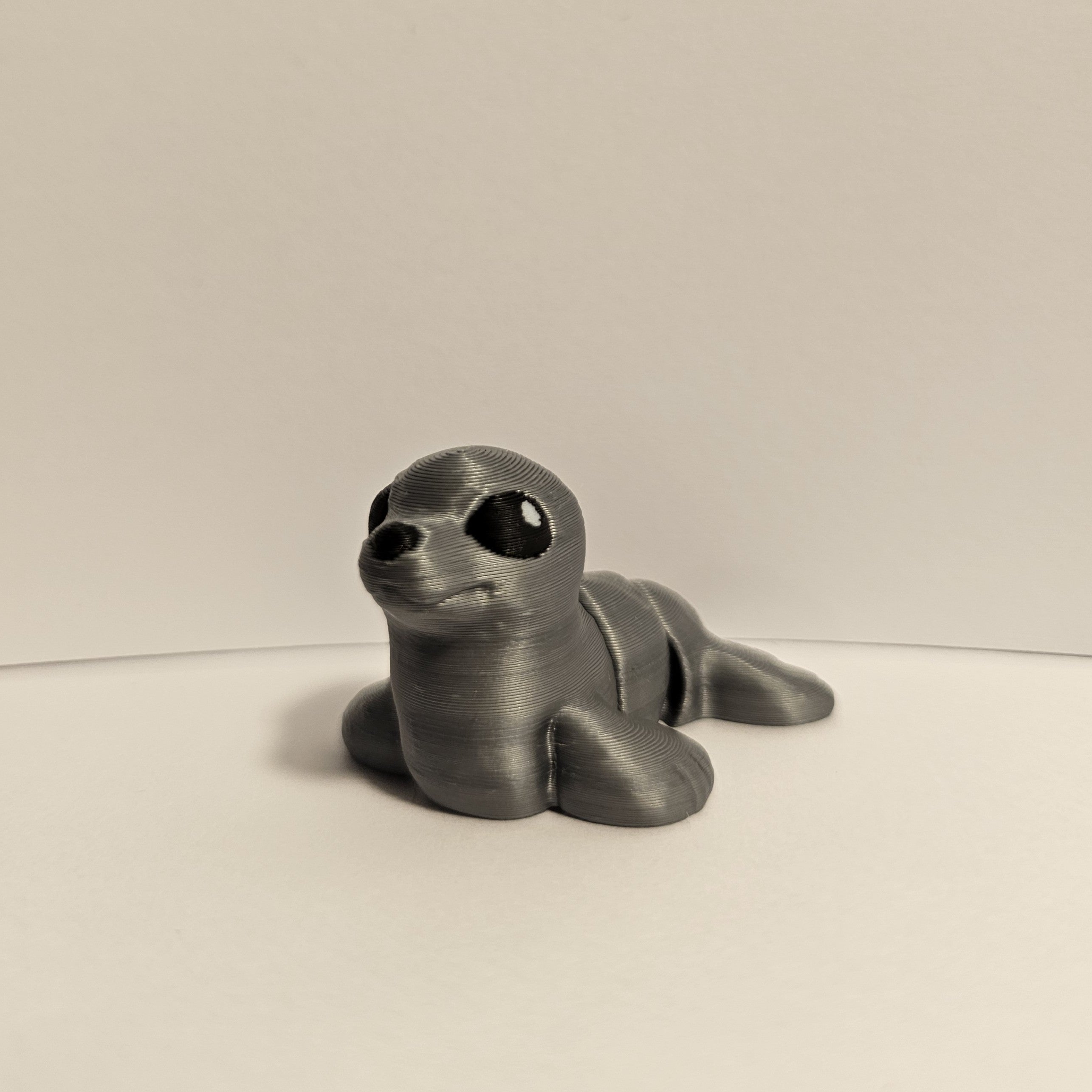 Seal Hatchling